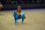 Quadrille - 00444